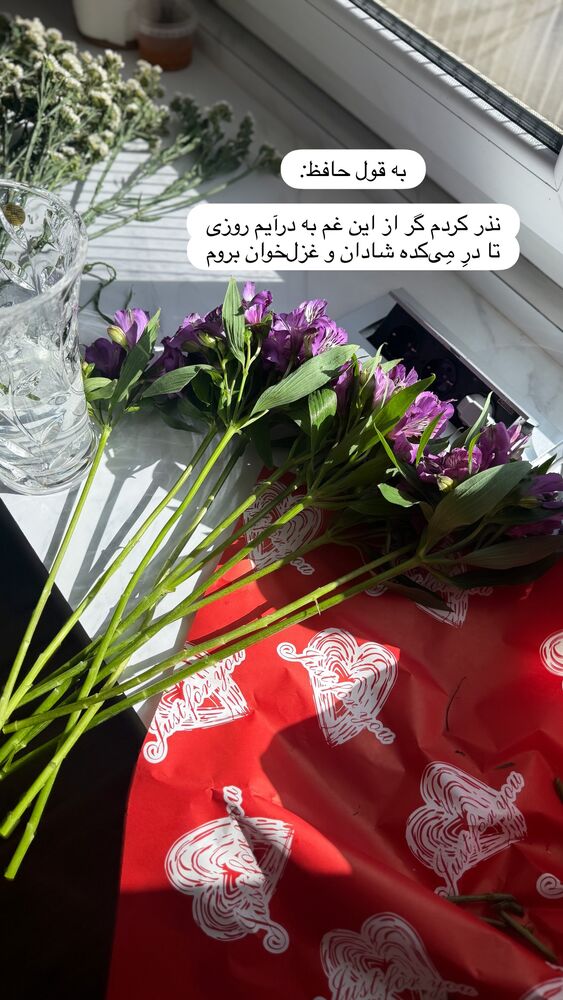  جدید ترین استوری اینستاگرام لیلی زمردیان