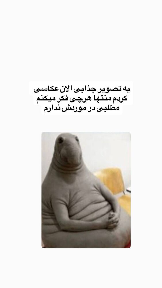  جدید ترین استوری اینستاگرام لیلی زمردیان