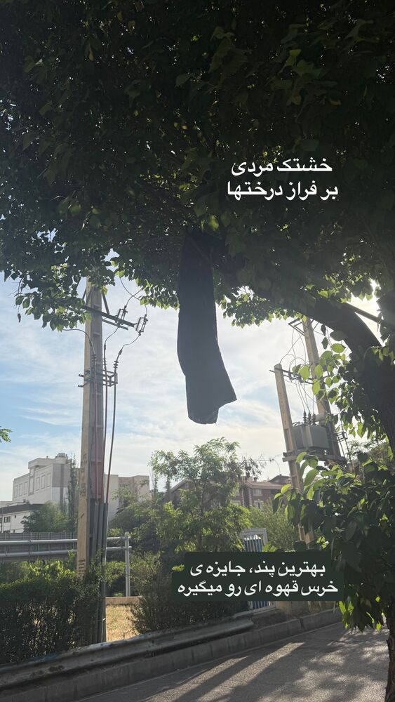  جدید ترین استوری اینستاگرام لیلی زمردیان