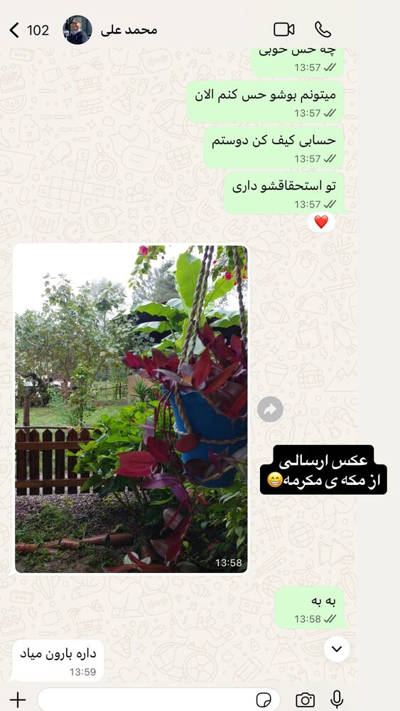  جدید ترین استوری اینستاگرام لیلی زمردیان