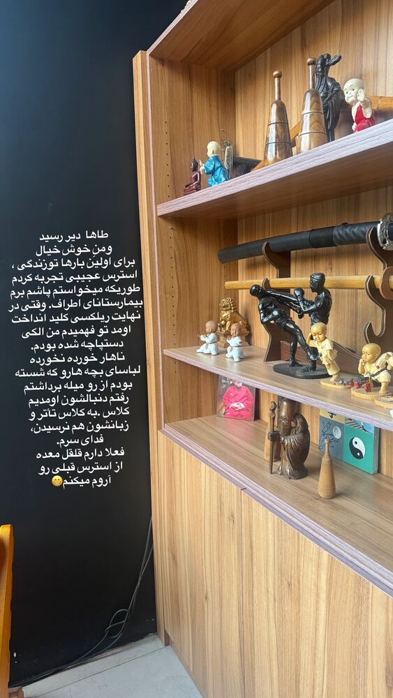  جدید ترین استوری اینستاگرام لیلی زمردیان