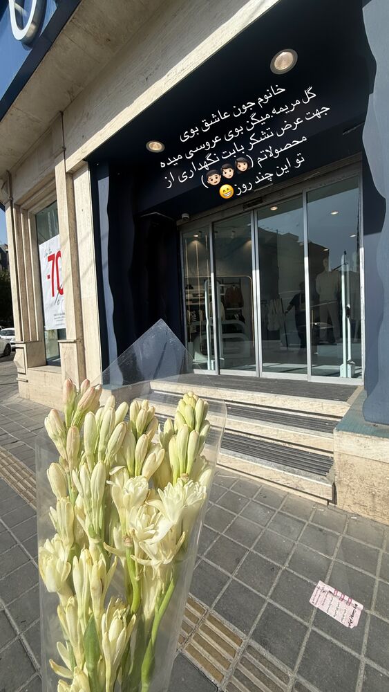  جدید ترین استوری اینستاگرام لیلی زمردیان
