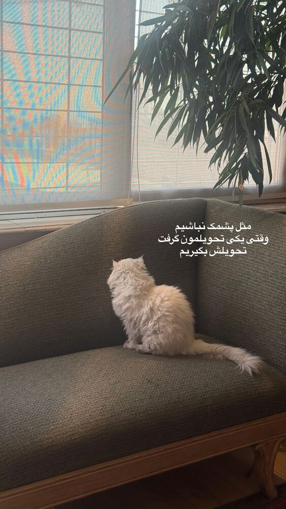  جدید ترین استوری اینستاگرام لیلی زمردیان