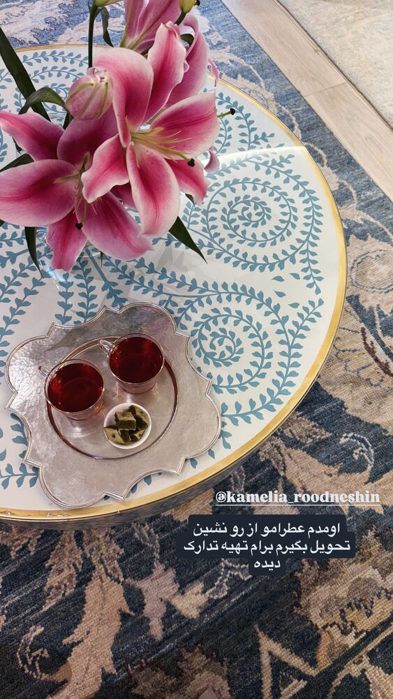  جدید ترین استوری اینستاگرام لیلی زمردیان