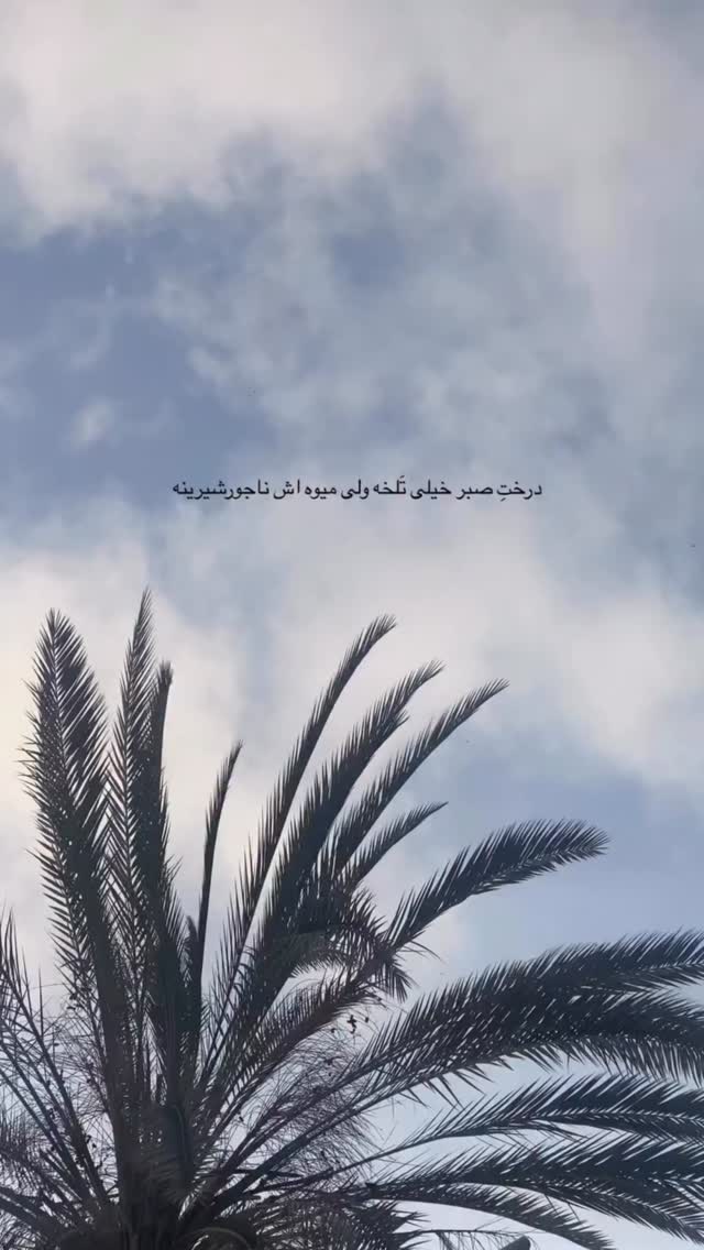  جدید ترین استوری اینستاگرام لیلی زمردیان