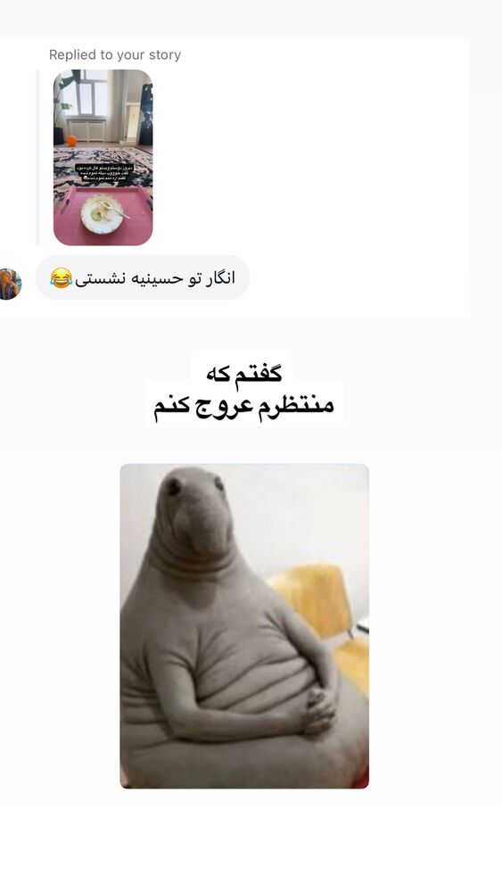  جدید ترین استوری اینستاگرام لیلی زمردیان