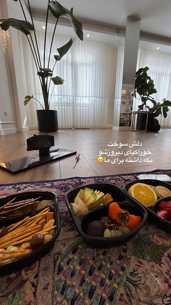  جدید ترین استوری اینستاگرام لیلی زمردیان