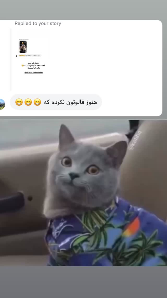  جدید ترین استوری اینستاگرام لیلی زمردیان