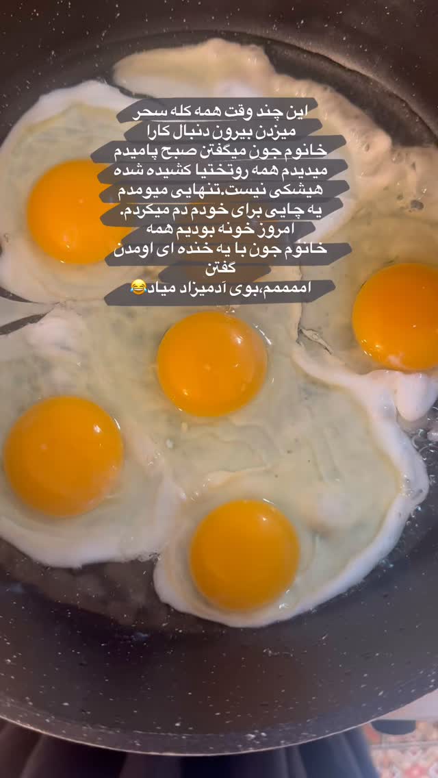  جدید ترین استوری اینستاگرام لیلی زمردیان