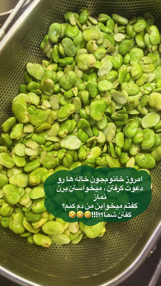 جدید ترین استوری اینستاگرام لیلی زمردیان