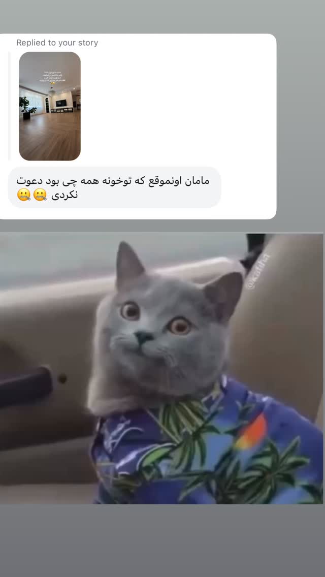  جدید ترین استوری اینستاگرام لیلی زمردیان