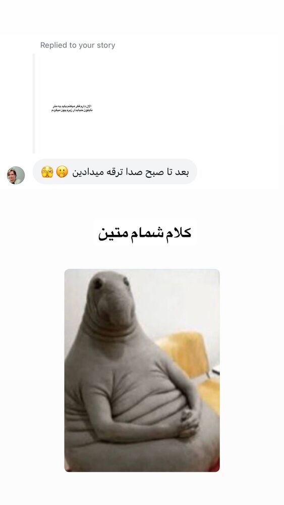  جدید ترین استوری اینستاگرام لیلی زمردیان