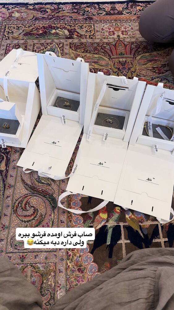  جدید ترین استوری اینستاگرام لیلی زمردیان
