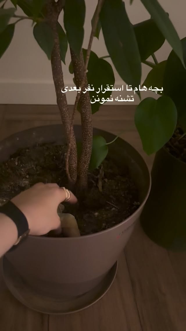  جدید ترین استوری اینستاگرام لیلی زمردیان