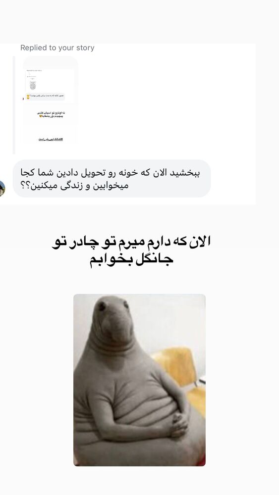  جدید ترین استوری اینستاگرام لیلی زمردیان