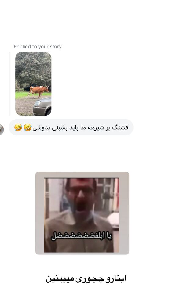  جدید ترین استوری اینستاگرام لیلی زمردیان