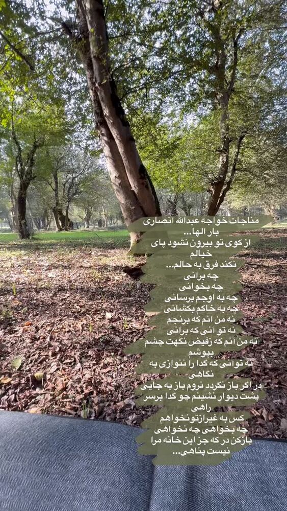  جدید ترین استوری اینستاگرام لیلی زمردیان