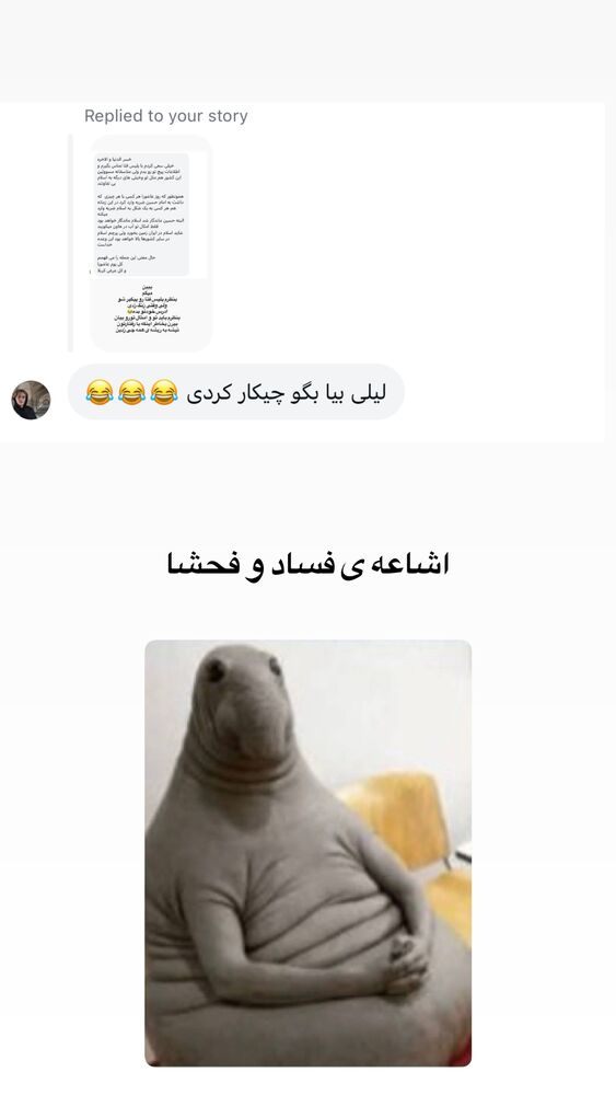  جدید ترین استوری اینستاگرام لیلی زمردیان