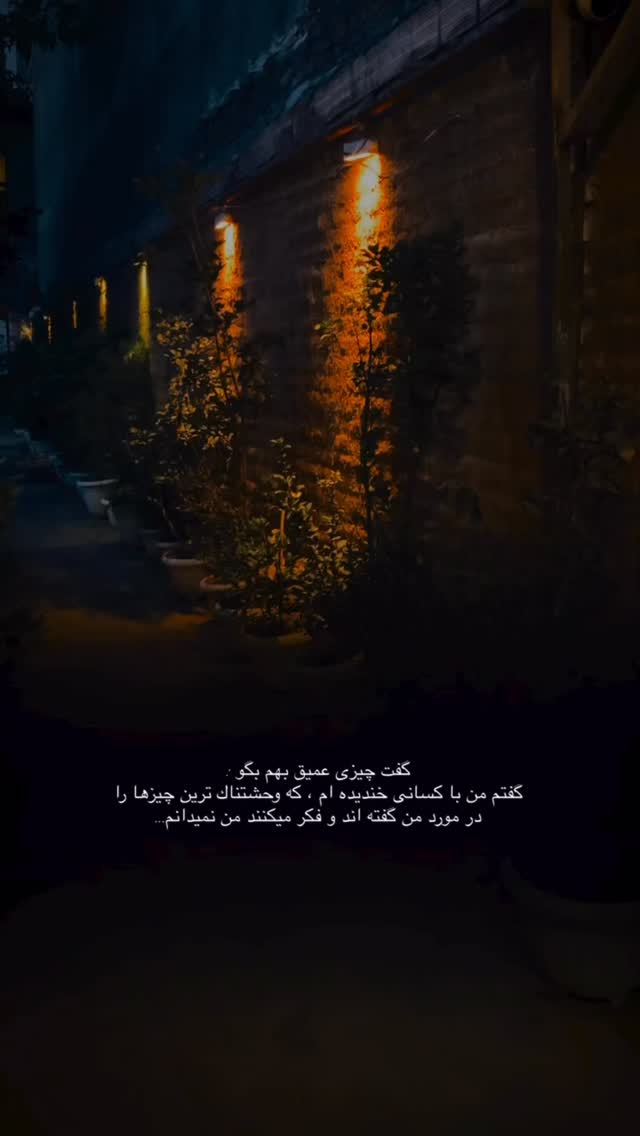  جدید ترین استوری اینستاگرام لیلی زمردیان