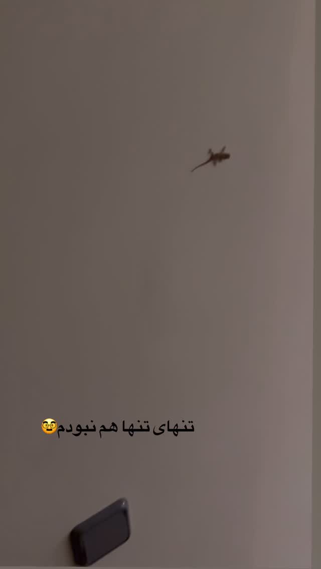  جدید ترین استوری اینستاگرام لیلی زمردیان