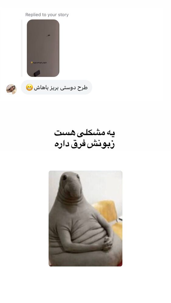  جدید ترین استوری اینستاگرام لیلی زمردیان