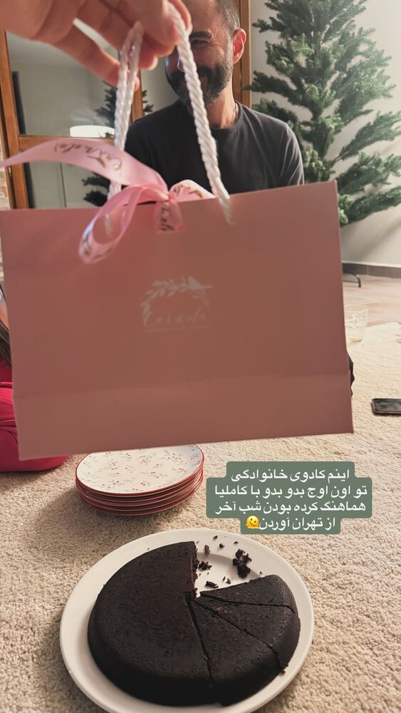  جدید ترین استوری اینستاگرام لیلی زمردیان