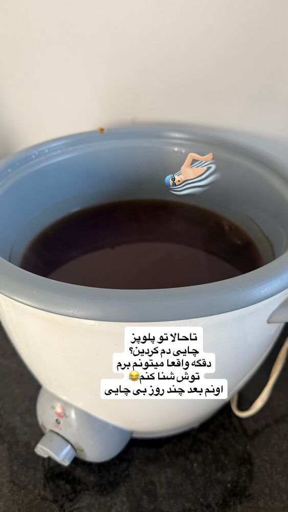 جدید ترین استوری اینستاگرام لیلی زمردیان