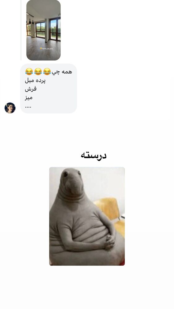  جدید ترین استوری اینستاگرام لیلی زمردیان