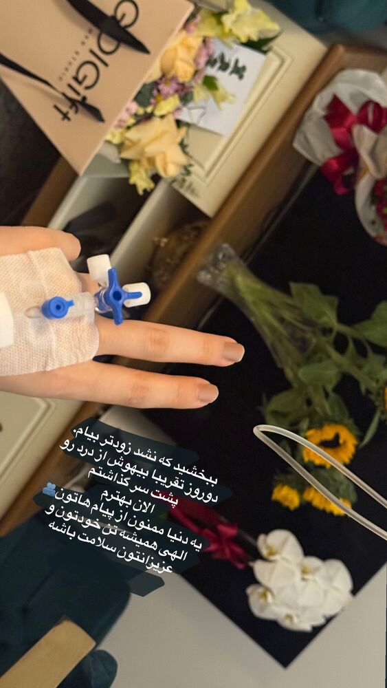  جدید ترین استوری اینستاگرام لیلی زمردیان