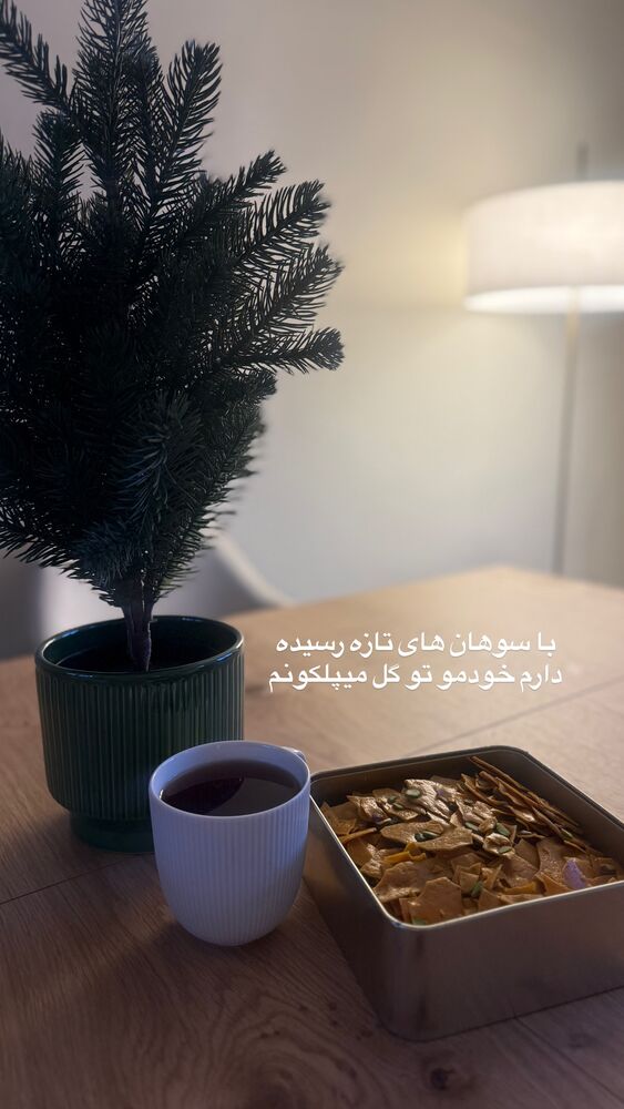  جدید ترین استوری اینستاگرام لیلی زمردیان