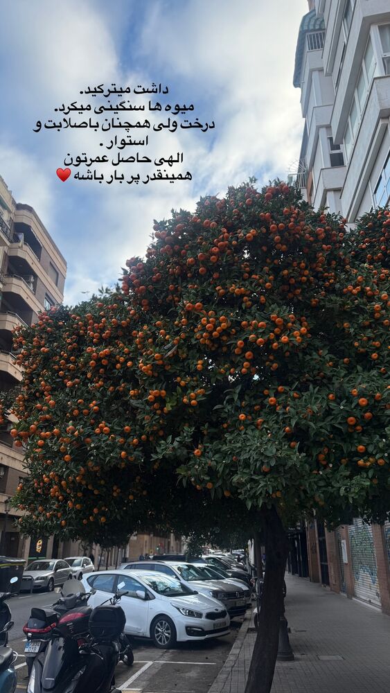  جدید ترین استوری اینستاگرام لیلی زمردیان