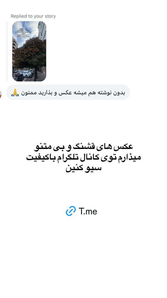  جدید ترین استوری اینستاگرام لیلی زمردیان