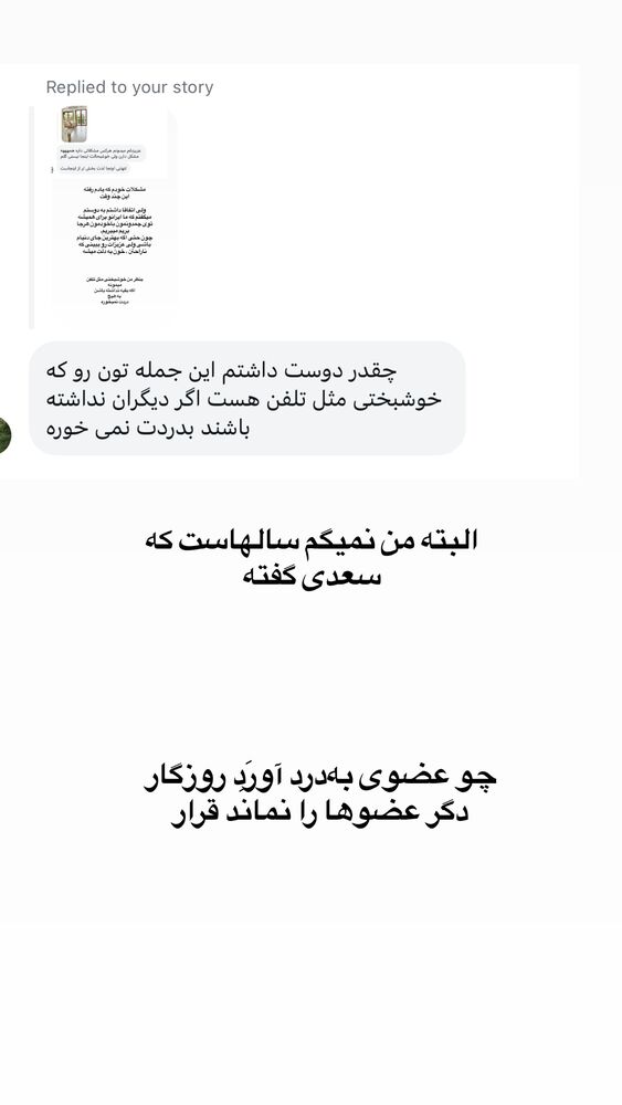  جدید ترین استوری اینستاگرام لیلی زمردیان