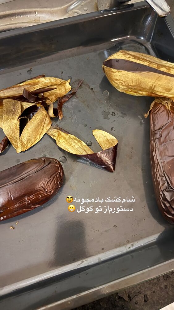  جدید ترین استوری اینستاگرام لیلی زمردیان