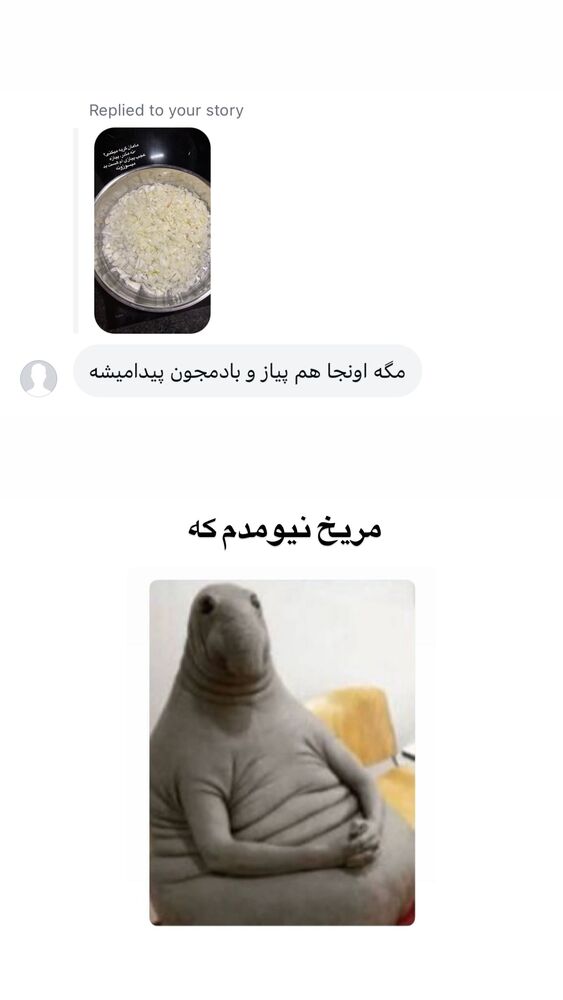 جدید ترین استوری اینستاگرام لیلی زمردیان