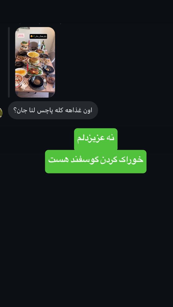  جدید ترین استوری اینستاگرام لنا سلامی