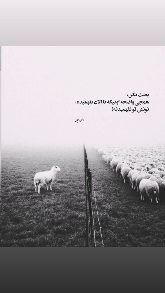  جدید ترین استوری اینستاگرام لنا سلامی