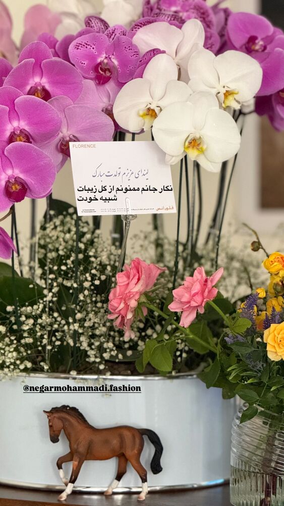  جدید ترین استوری اینستاگرام لیندا کیانی