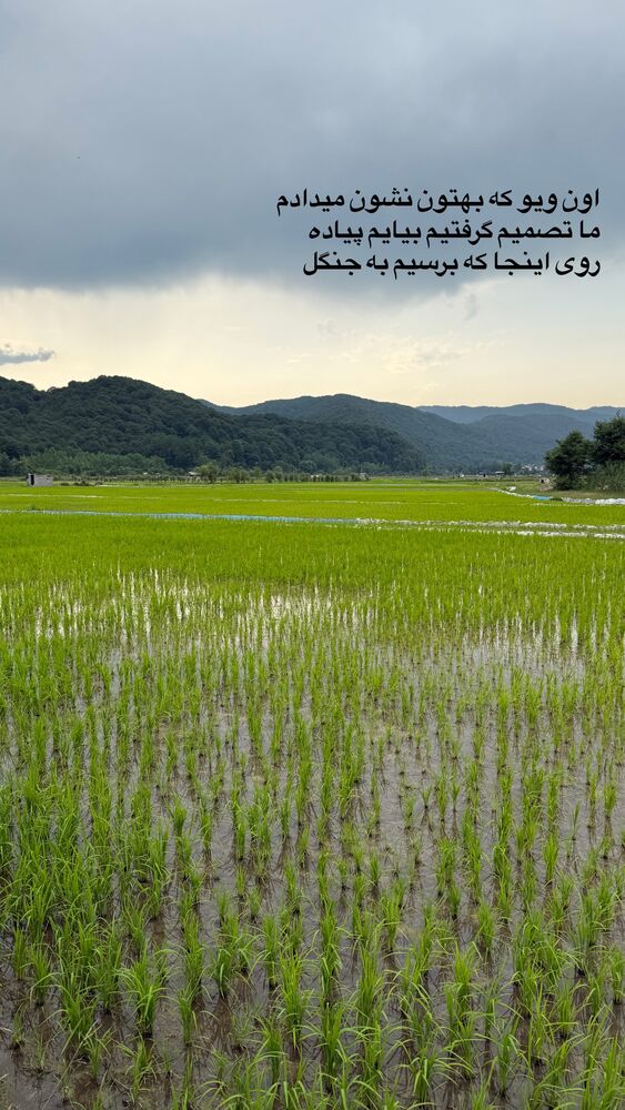  جدید ترین استوری اینستاگرام مهدیس حسینی