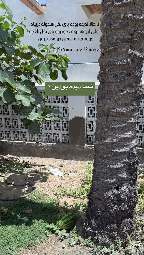  جدید ترین استوری اینستاگرام محمد رضا