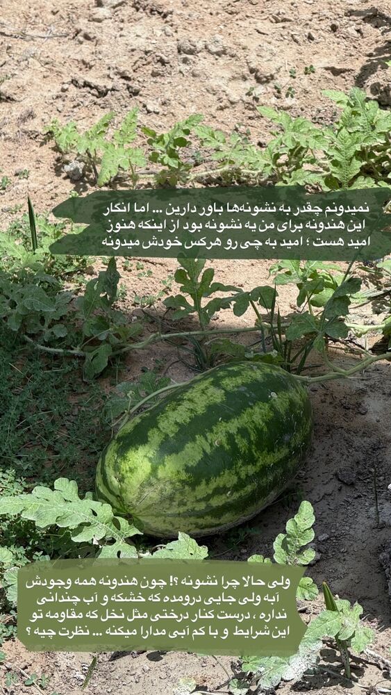  جدید ترین استوری اینستاگرام محمد رضا