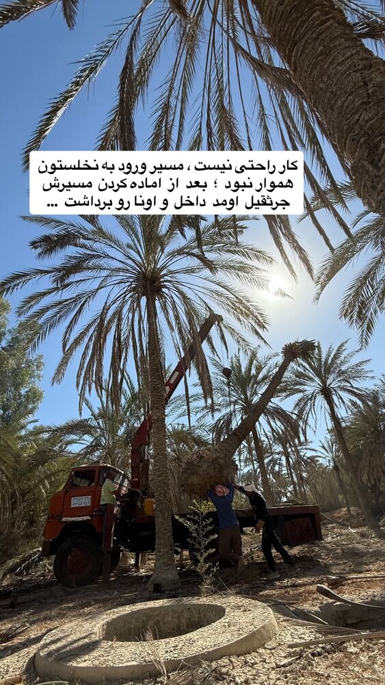  جدید ترین استوری اینستاگرام محمد رضا