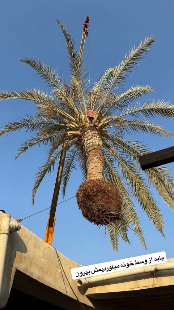  جدید ترین استوری اینستاگرام محمد رضا
