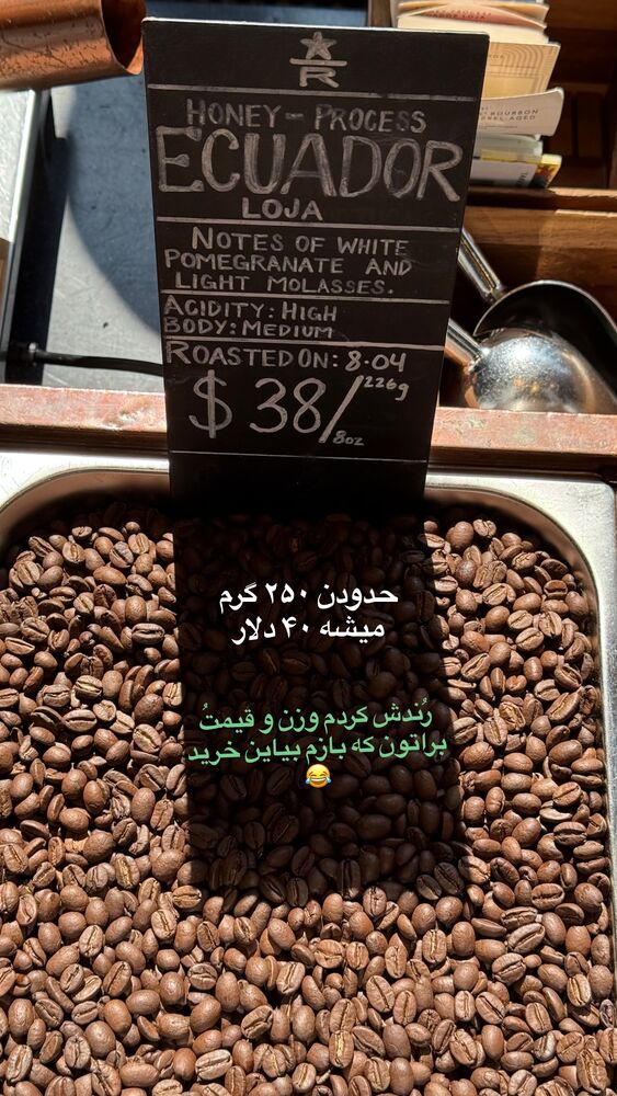  جدید ترین استوری اینستاگرام محمد رضا