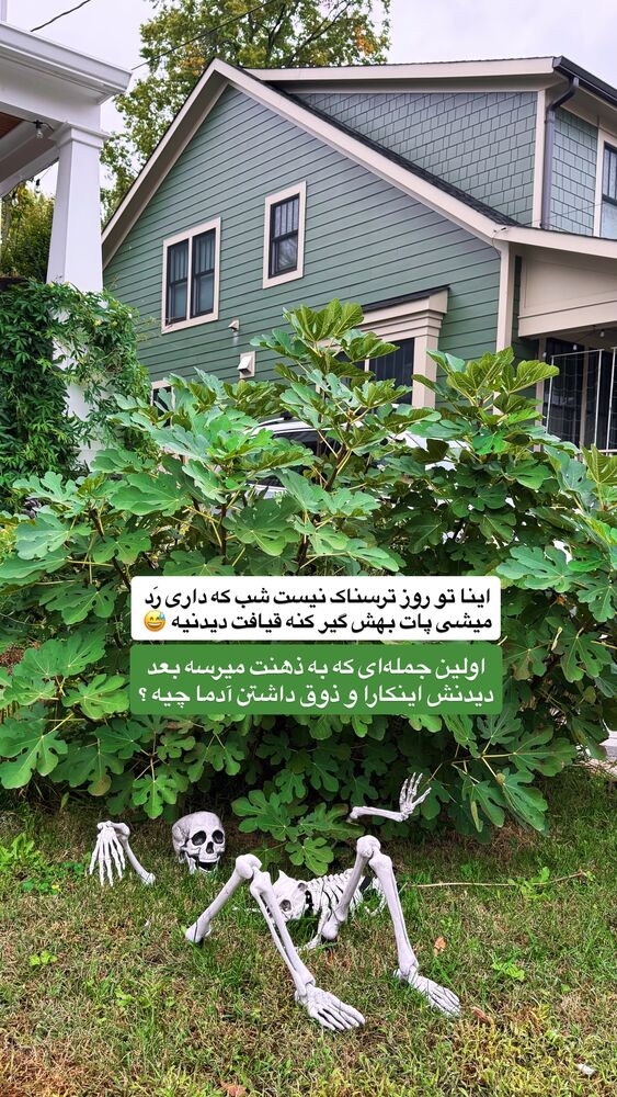  جدید ترین استوری اینستاگرام محمد رضا
