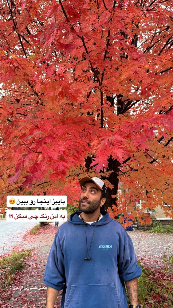  جدید ترین استوری اینستاگرام محمد رضا