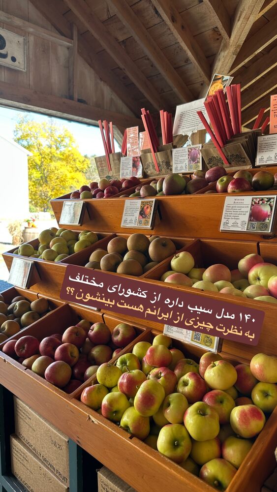  جدید ترین استوری اینستاگرام محمد رضا