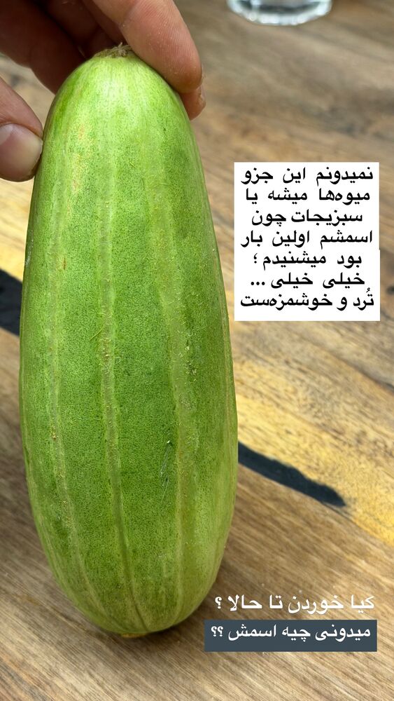  جدید ترین استوری اینستاگرام محمد رضا