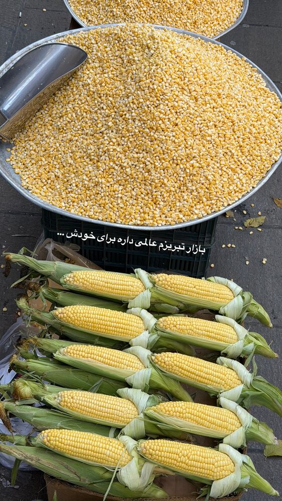  جدید ترین استوری اینستاگرام محمد رضا