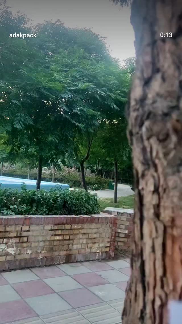  جدید ترین استوری اینستاگرام محمد جواد سیانکی